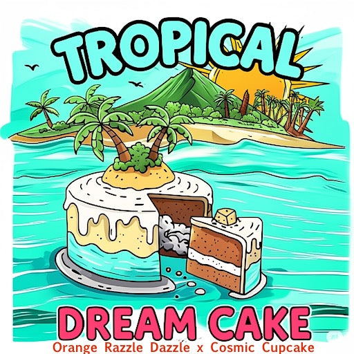 Tropical Dream Cake
